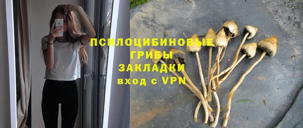 гидропоника Абинск
