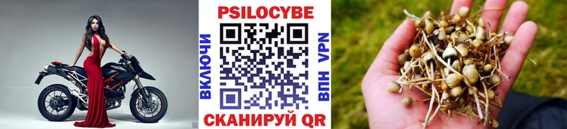 ссылка на мегу tor Норильск Псилоцибиновые грибы MAGIC MUSHROOMS